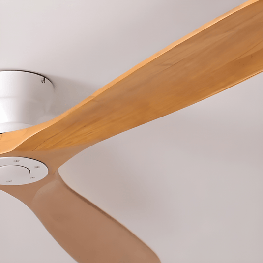 Ventilateur de Plafond avec moteur DC
