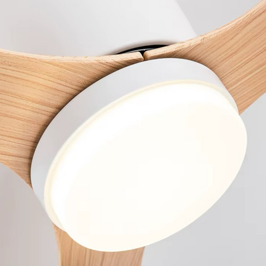 Ventilateur Plafond Silencieux Moteur DC Ultra-Plat – Diamètre 114 cm / 132 cm