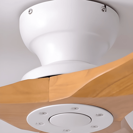 Ventilateur de Plafond avec moteur DC