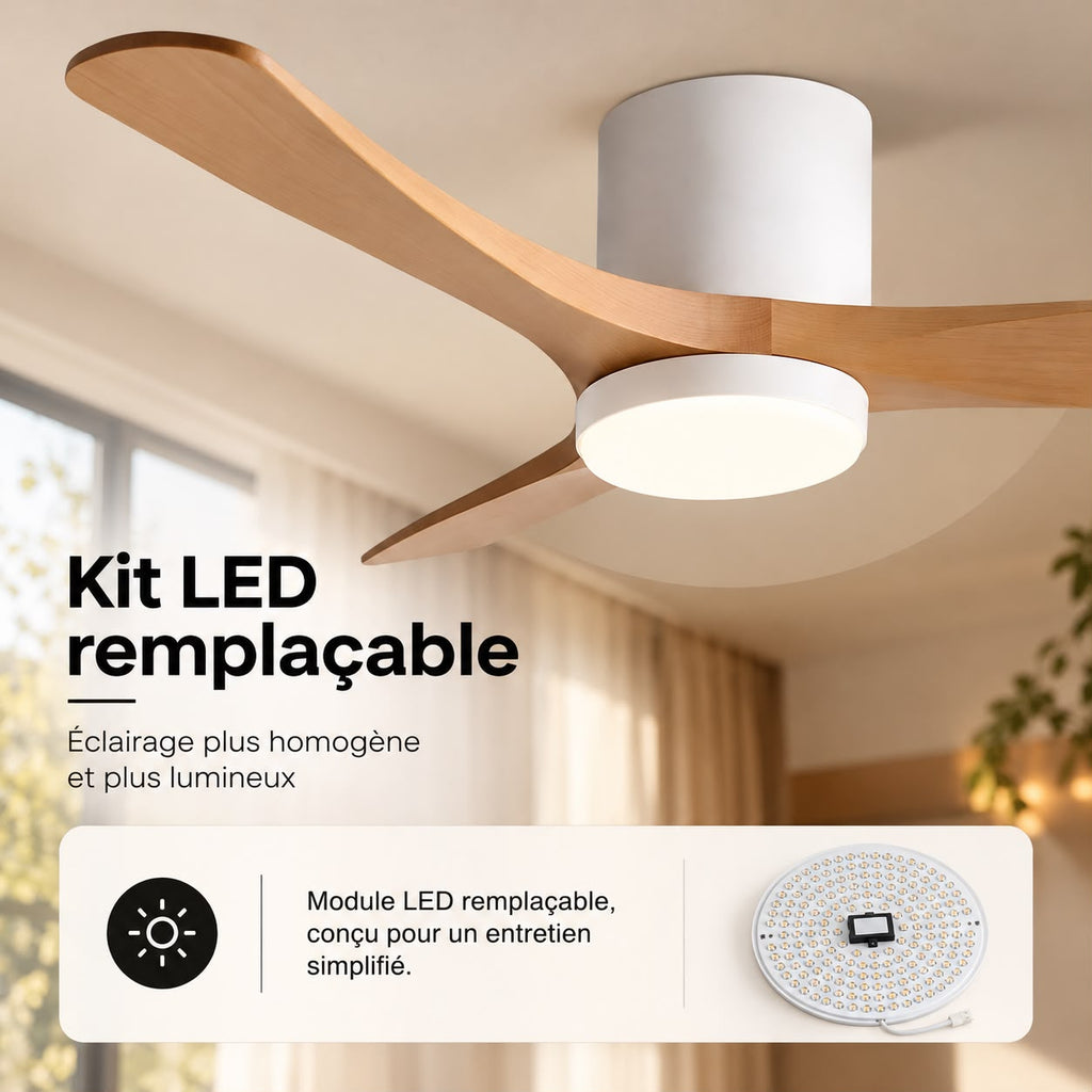 Ventilateur de Plafond en Bois Massif Silencieux pour Chambre Avec Lumière LED, Télécommande, Commande Murale et Réversible Été/Hiver - Ormelle