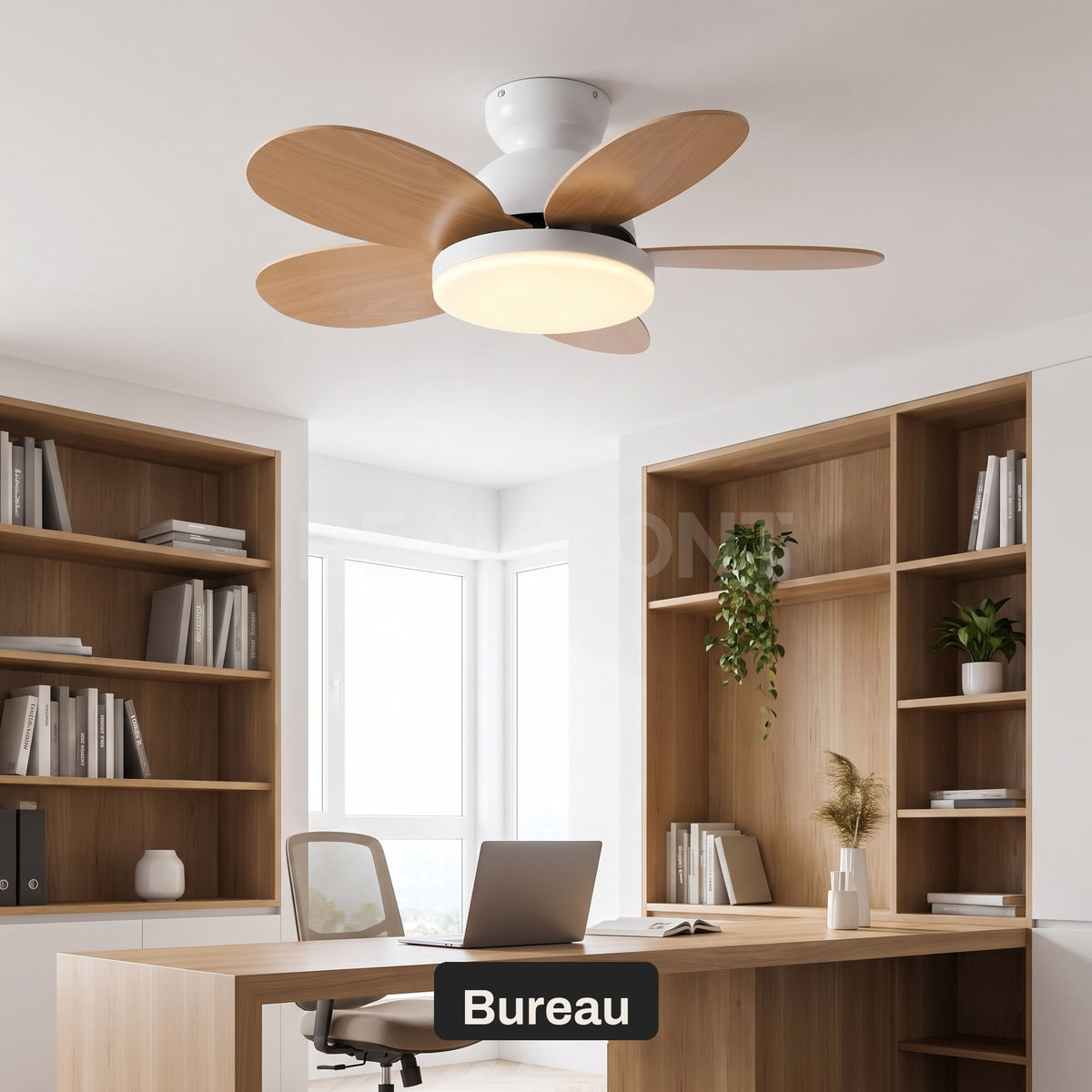 Ventilateur de plafond Capucine dans un bureau