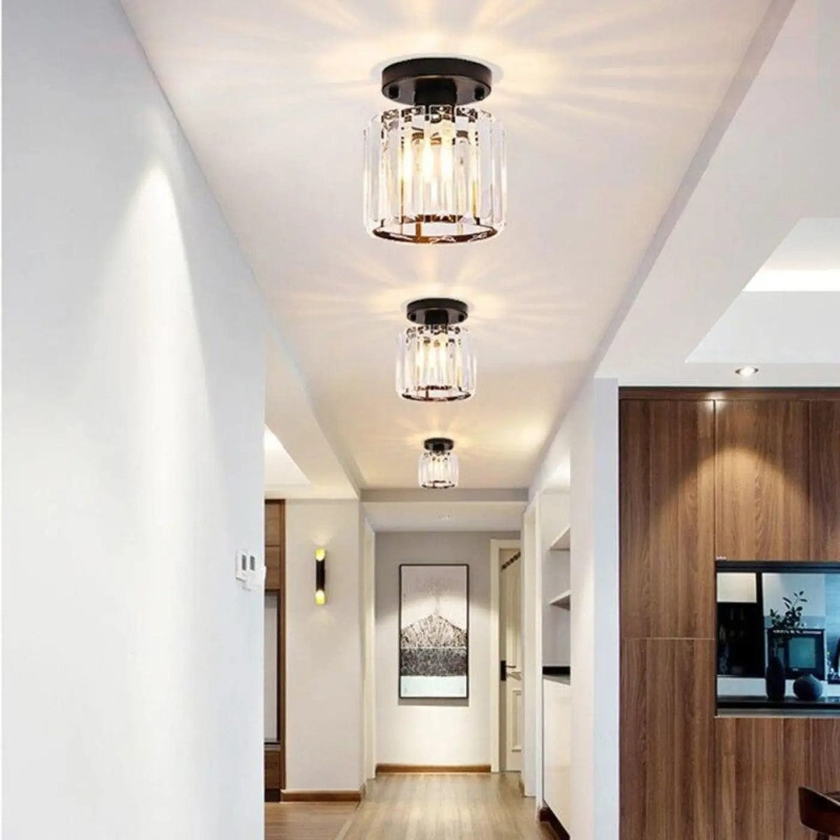 Luminaire Plafonnier | ELUNIA Cercle Noir