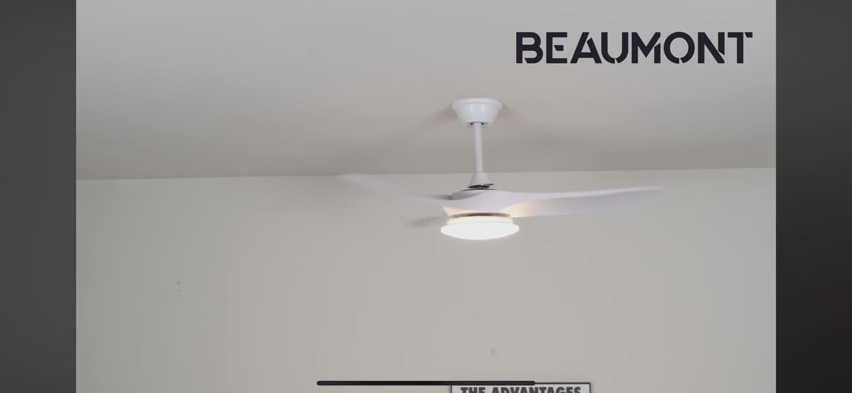 Vidéo