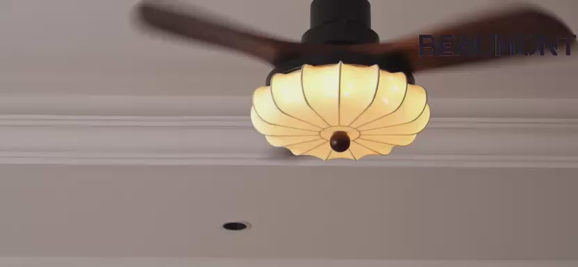 Vidéo