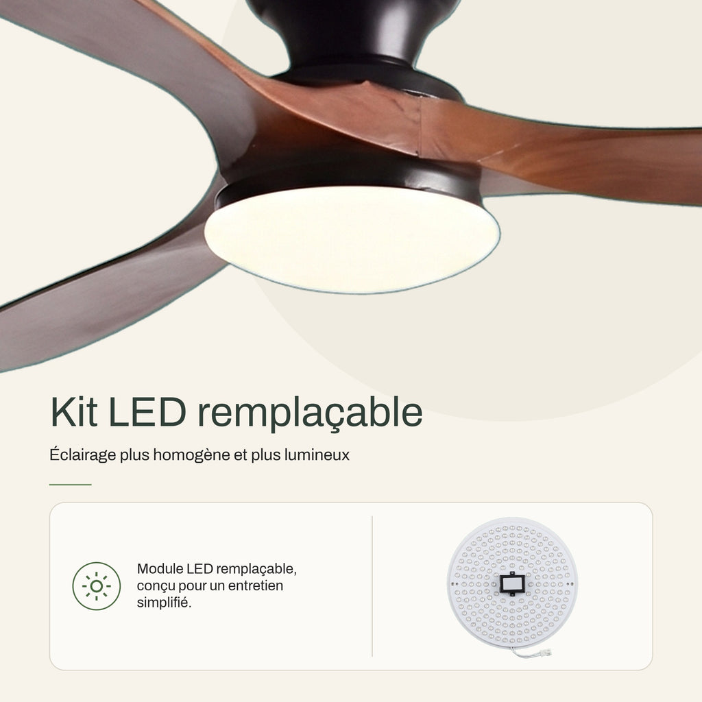 Ventilateur de Plafond en Bois Massif Silencieux Haut de Gamme Avec Lumière LED, Télécommande et Réversible Été/Hiver - Sylvane