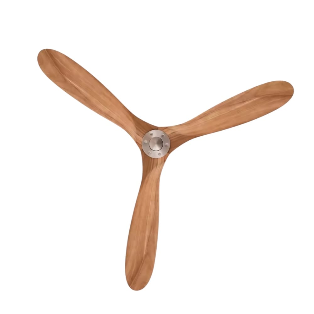 Ventilateur de Plafond avec moteur DC