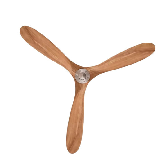 Ventilateur de Plafond avec moteur DC