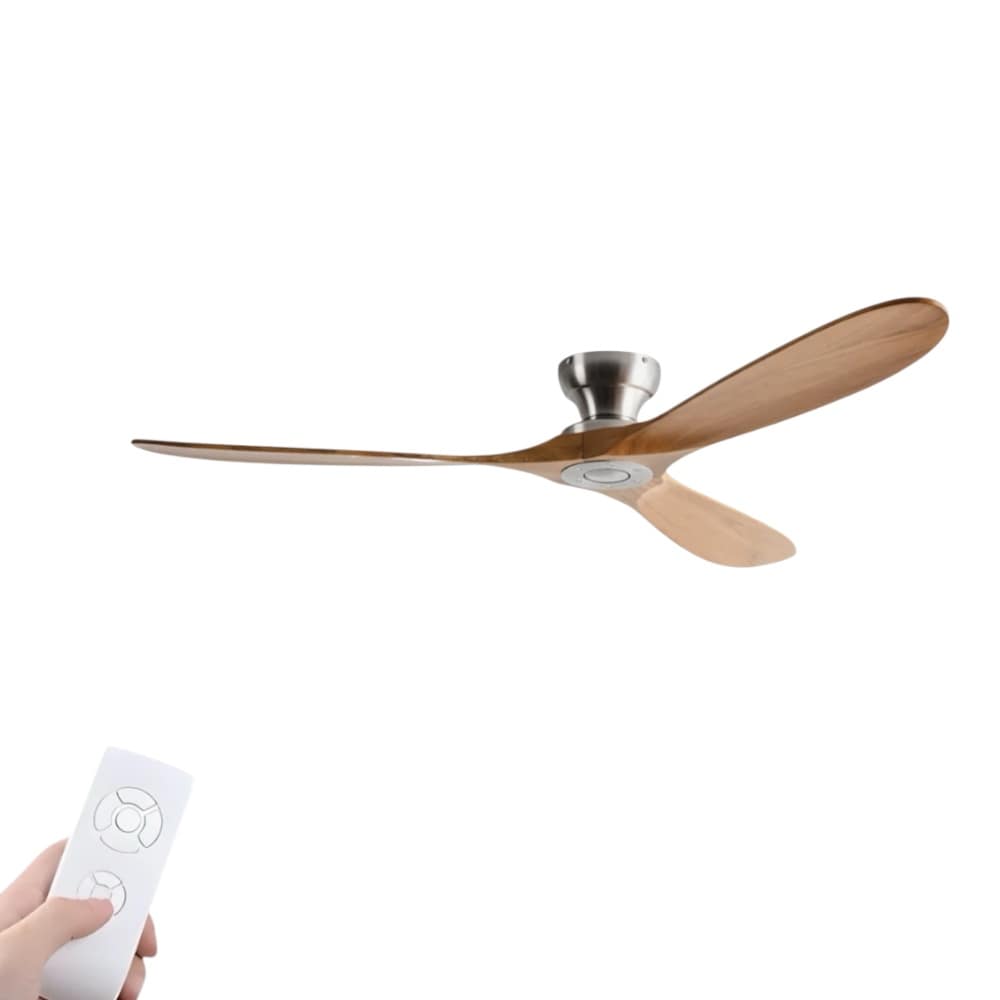 Ventilateur de Plafond avec moteur DC