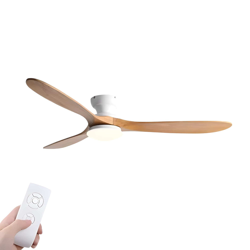 Ventilateur de Plafond avec moteur DC
