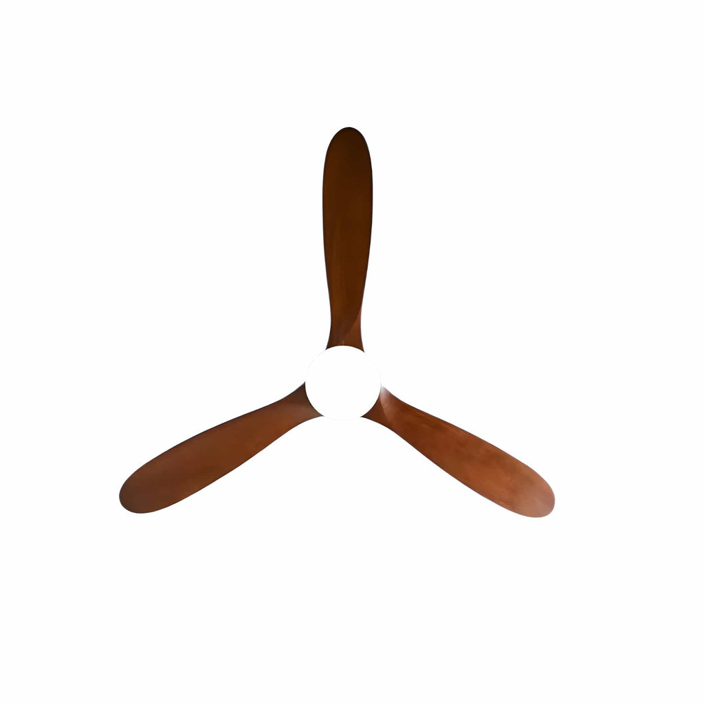 Ventilateur de Plafond avec moteur DC