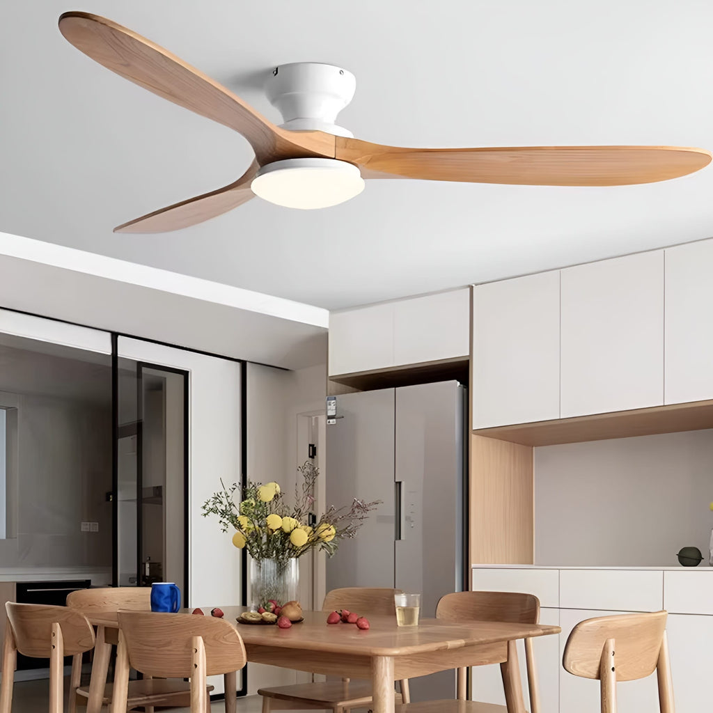 Ventilateur de Plafond avec moteur DC