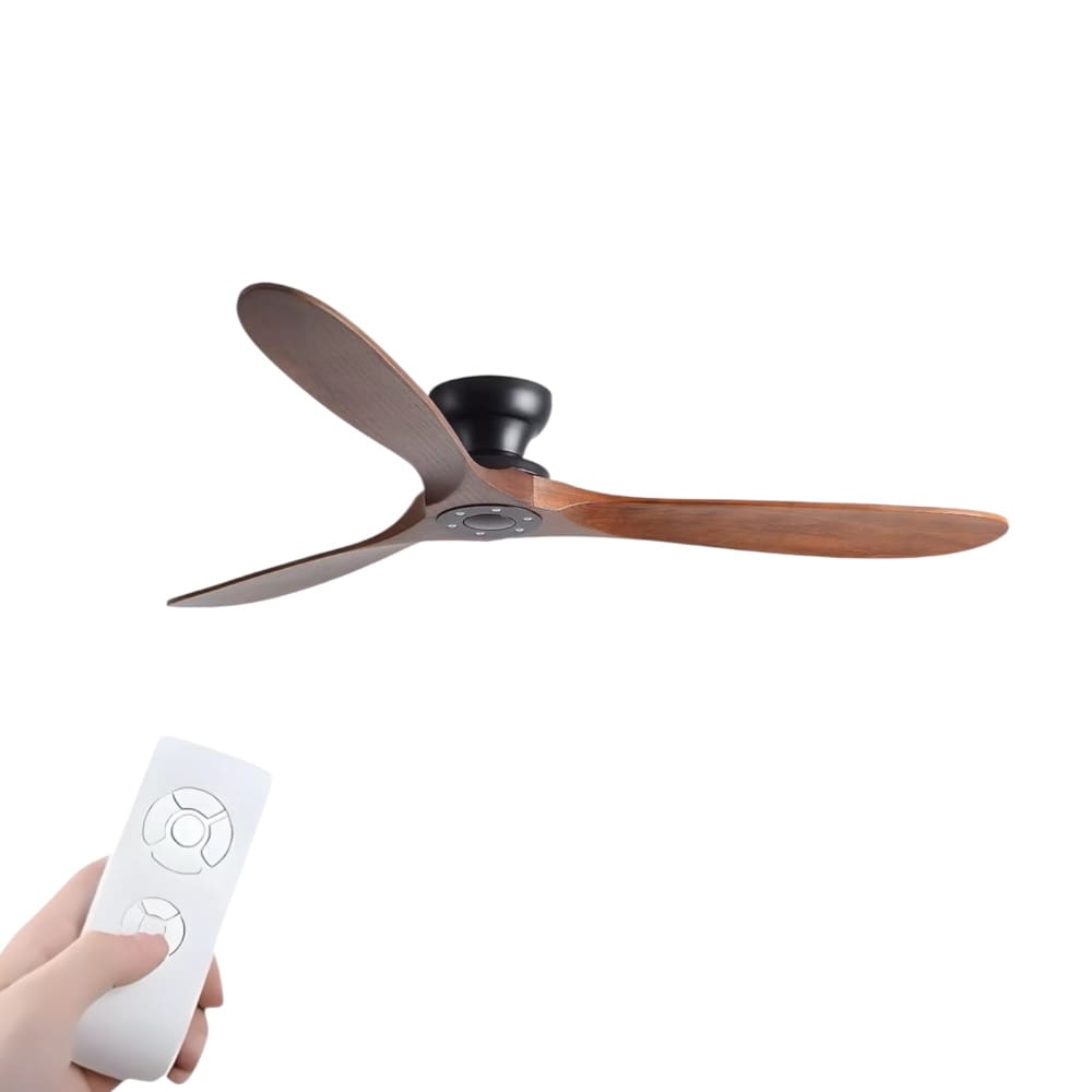 Ventilateur de Plafond avec moteur DC